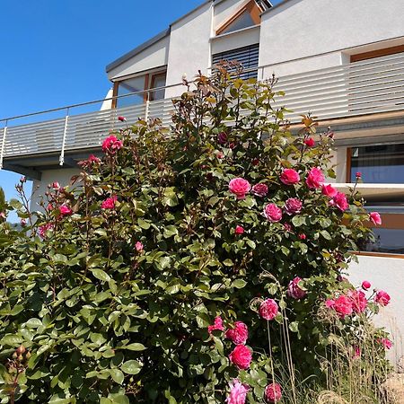 Ferienwohnungen Im Rosengarten Bodman-Ludwigshafen Ngoại thất bức ảnh