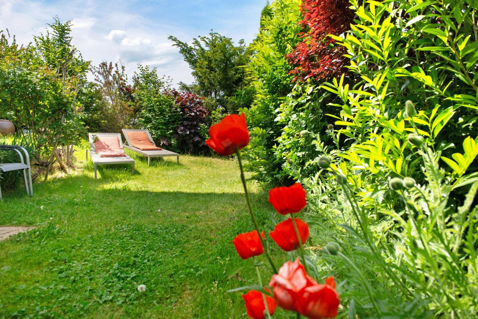 Ferienwohnungen Im Rosengarten Bodman-Ludwigshafen Ngoại thất bức ảnh